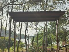 -华侨城湿地公园