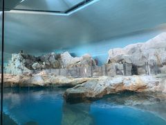 -新加坡飞禽公园