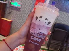 -一只酸奶牛(时代天街A馆店)