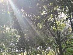 -东山风景区(洞庭东山)