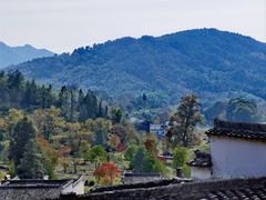 -塔川景区