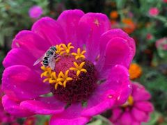 -永定河休闲森林公园