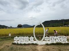 -艾米稻香小镇