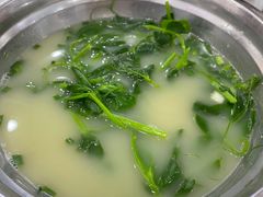 -胡世羊肉汤(南街店)