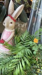 -金芙美月子中心(财富别墅店)