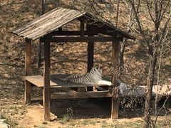 -石家庄市动物园