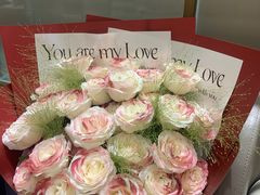 -红鼎豆捞·非遗鲍皇汤火锅(宝丰路店)