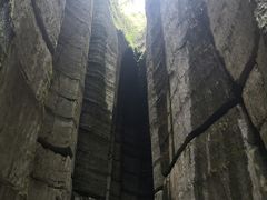 -梦幻奥陶纪景区