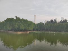 -团结湖公园