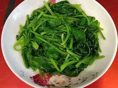 -天鹅到家·保姆月嫂育儿嫂(天河店)