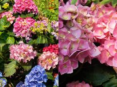 -人民公园(罗湖区)