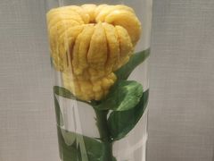 -广东中医药博物馆
