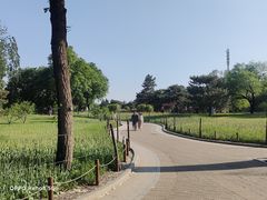 -国家植物园南园