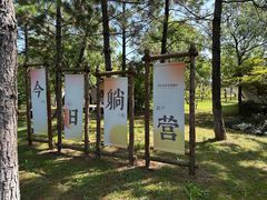 -茅山东方盐湖城景区