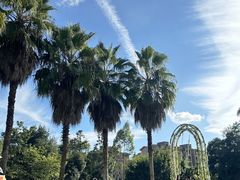 -汇雅温泉