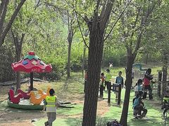 -西部长青自然儿童乐园