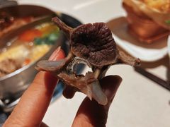 -浩爷羊蝎子火锅(望京店)
