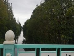 -上海长兴岛郊野公园