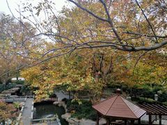 -苏州河梦清园环保主题公园