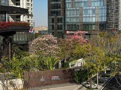 -深圳国际会展中心希尔顿酒店(前海华发冰雪世界店)