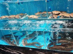 -山海•蒸汽活海鲜自助(皇庭广场店)