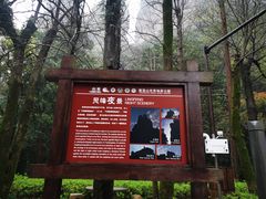 -雁荡山风景名胜区
