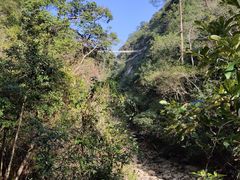 -九龙江国家森林公园