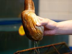 -行运海鲜食集(北京首店)