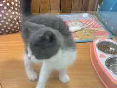 -龟与熊猫宠物公园(南坪店)