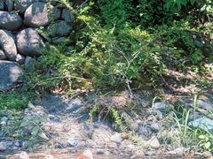 -千岛湖九龙溪漂流