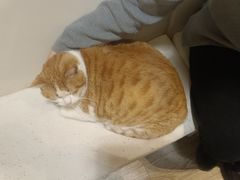 -小时光咖啡馆(北锣鼓巷店)