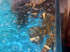 -拉完海鲜大排档(温岭店)
