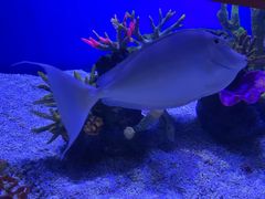-上海海昌海洋公园