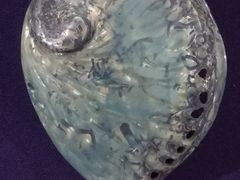 -上海海洋大学鱼文化博物馆(军工路校区)