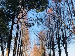 -良渚古城遗址公园