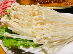 -杨家火锅(国美店)