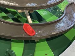 -中国宋庆龄青少年科技文化交流中心