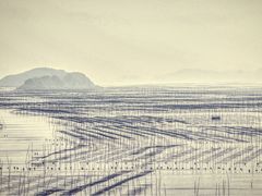 -北岐滩涂