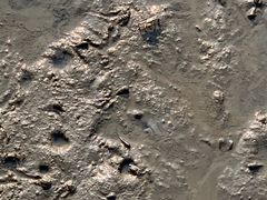 -北海金海湾红树林生态旅游区