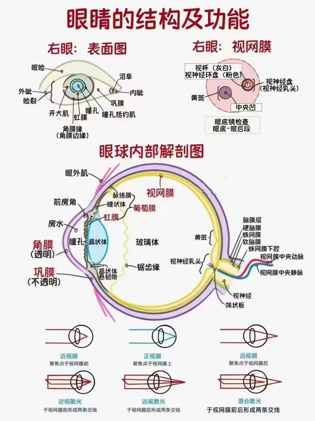 眼睛是人体重要的视觉器官平时一定要爱护好眼