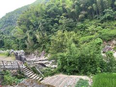 -MOJ coffee(瓯海泽雅水碓坑店)