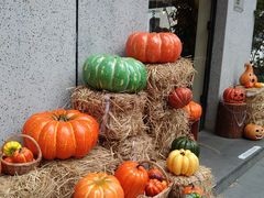 -Money Shops(愚园路店)