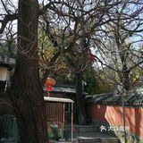 京西古刹八大处