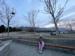 -秦始皇帝陵博物院-丽山园