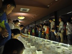 -青岛贝壳博物馆