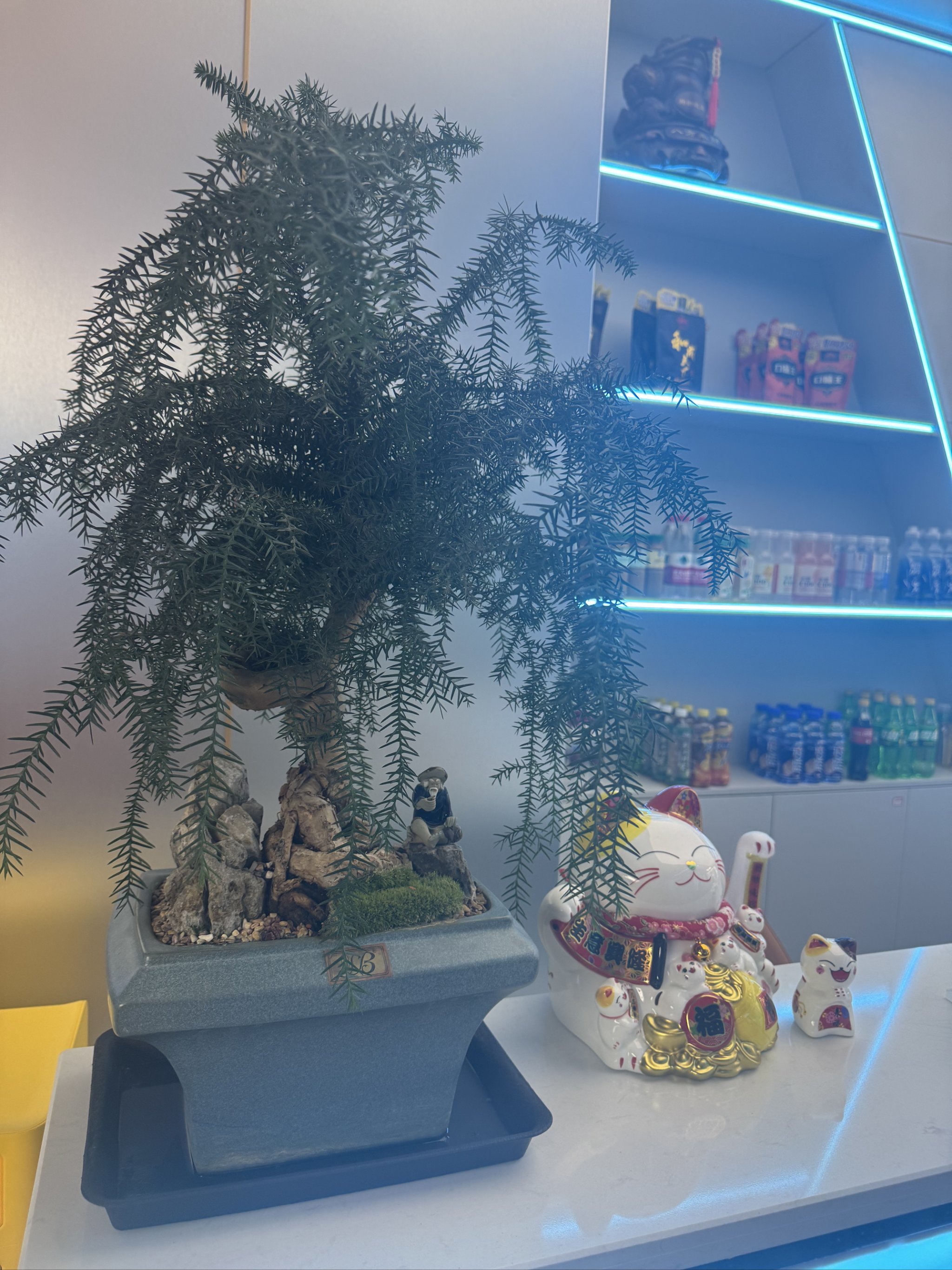 昆明这家台球厅超神啦🎱