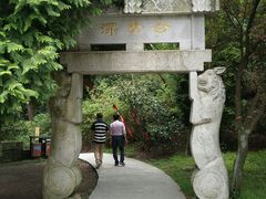-四明山国家森林公园