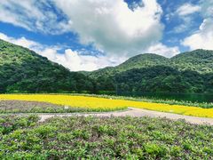 -广州市石门国家森林公园