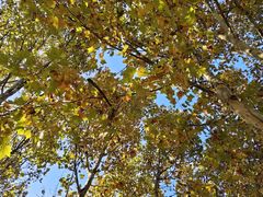 -艾溪湖湿地公园