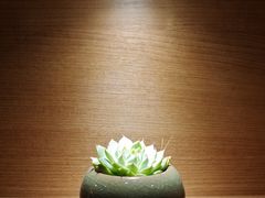 -韩香福烤肉庄园(华夏路店)